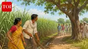 Leopard Attacks Couple in Sugarcane Field in Bahraich, Climbs Tree