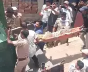Leopardess Injures Three in Bahraich Village, Rescued After 90-Minute Operation
