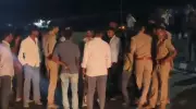 Lion Cub Killed in Hit-and-Run on Gujarat Highway, Raises Concerns