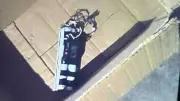 Live Bomb Recovered in Pune Puts Security Forces on High Alert
