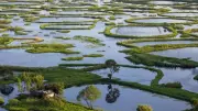 Loktak Lake: Home to World's Only Floating National Park and Dancing Deer