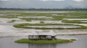 Loktak Lake: India's Floating Lake with Unique Phumdis and Rare Wildlife