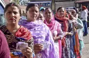 Longowal, Nabha, Rajpura, Fatehgarh Sahib Municipal Council Election Results 2026