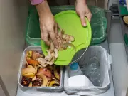 LSE Study: Waste Segregation Training Benefits Five Times Cost in Patna