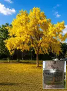 Ludhiana Agricultural University Trees to Narrate Their Stories via QR Codes
