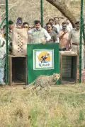 Madhya Pradesh CM Releases Two Cheetahs into Wild at Kuno National Park