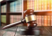 Madras HC Orders Removal of Encroachments from Painkattuvayal Lake