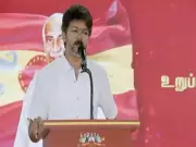 Madras HC to Hear Case Against Actor Vijay for Alleged Tax Evasion