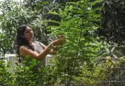 Maharashtra Biodiversity Park Preserves Rare Plant Species in Nagpur