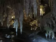 Mammoth Cave in Western Australia Reveals Arboreal Kangaroos and Ancient Human Secrets