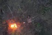 Man Arrested for Deliberately Setting Forest Fire in Rudraprayag Identified via Drone