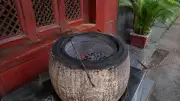 Man Arrested for Throwing Puppy into Burning Tandoor in Chandigarh