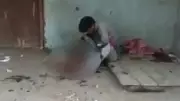 Man Kills Stray Dog in Lucknow, Video Sparks Outrage; Police Probe On