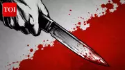 Man stabs teen over sister's relationship, throws body in drain in Delhi