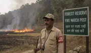 Man Who Set Farm Fire Appointed as Forest Fire Watcher in Bageshwar