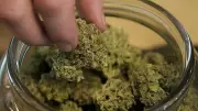 Mangaluru Student Arrested with Drugs Worth Rs 35 Lakh