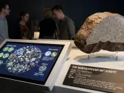 Man's 17-Year-Old 'Gold Rock' Turns Out to Be Rare 4-Billion-Year-Old Meteorite