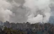 Massive Forest Fire Erupts at Multiple Locations in Rajouri District