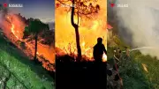 Massive Forest Fires Ravage Uttarakhand, Himachal, J&K; Army, IAF Deployed