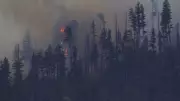 Medical Plane Crashes in New Mexico, Killing All Four Aboard
