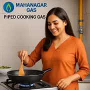 MGL Mega PNG Registration Camp in Sion on Sunday for Clean Cooking Fuel