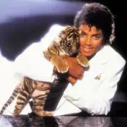 Michael Jackson Biopic 'Michael' Wows Audiences, Jaafar Jackson Says Role Was His 'Calling'