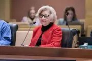 Minnesota State Senator Carla Nelson Announces Retirement at Term End
