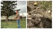 Montana Family Lives with Snake Den in Their Farmhouse