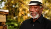Morgan Freeman Transforms Ranch into Bee Sanctuary to Protect Pollinators