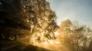 Morning Affirmation at 5 AM: A Mindset Shift to Reduce Overwhelm