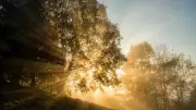 Morning Affirmation at 5 AM: How Positive Words Before Sunrise Affect Your Brain