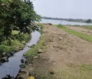 MPCB Issues Show-Cause Notice to Kolhapur Municipal Corporation Over Rankala Lake Pollution