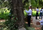 Mumbai Begins First Tree Census in 8 Years with 64 Botanist Teams