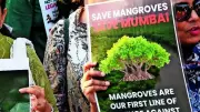 Mumbai Citizens to Form Human Chain Against Mangrove Destruction for Coastal Road