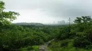 Mumbai's Aarey Colony to Host Massive Tree Plantation Drive