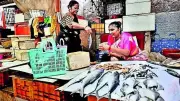 Mumbai's Koli women launch first fish producer company, transform trade