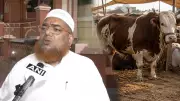 Muslim Clerics Urge Restraint on Cow Sacrifice Ahead of Eid-al-Adha Across India