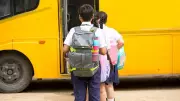 My Beloved School Bag Zane: A Year of Friendship and Adventures