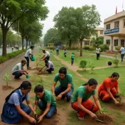 Mysuru Forest Dept Plans to Plant 34,000 Saplings to Boost Green Cover