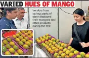 Nagpur Mango and Millet Festival Brings Konkan Flavors to City