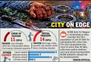 Nagpur Records 37 Murders in Five Months, Petty Quarrels Dominate