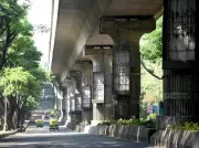 Namma Metro Services Disrupted for Third Time in a Month Due to Tree Branch on Track
