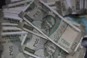 NCB Freezes Assets Worth Rs 3.8 Crore of Drug Syndicate Kingpin