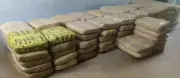 NCB Seizes 465kg Ganja in Chennai, Two Arrested in Major Bust