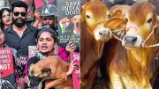 NCRB Tracks Animal Cruelty for First Time: 9,039 Cases in 2024