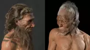 Neanderthals vs Homo Sapiens: Key Differences in Intelligence and Strength