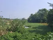 Neglected canal in Chennai turns from flood buffer to flood inducer