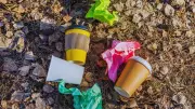 Nepal Annapurna Littering Sparks Debate on Civic Sense and Tourism