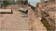 NGT Panel Directs CIDCO to Align Plans for Navi Mumbai's Flamingo Lake Conservation