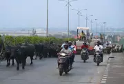 NHAI cancels tenders for Vijayawada infra projects after unqualified bids